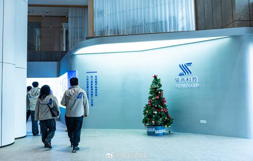 她的姿态优雅而自信仿佛是那个时代的代言人散发着独特的魅力