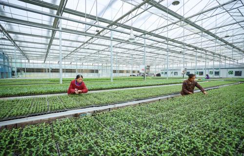 蚂蚁集团使用国产AI芯片训练自研大模型成本优势引关注